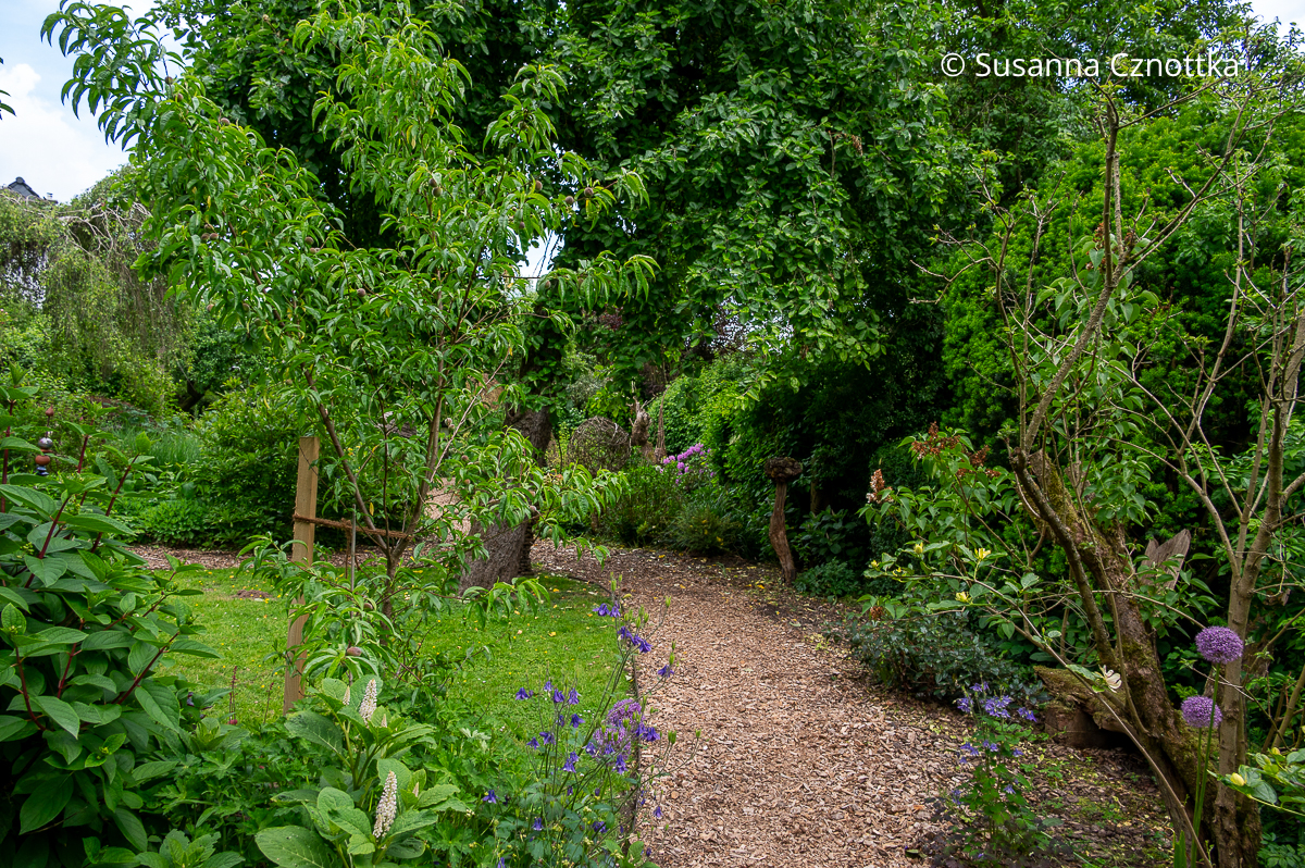 Gartengestaltung: ein geschwungener Gartenweg verliert sich zwischen Bäumen