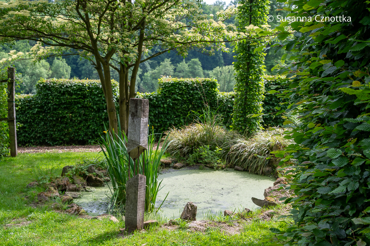 Formschnittgehölze: Hecke mit rechteckigen Einschnitten und eine schmale Säule aus Hainbuche (Carpinus betulus)