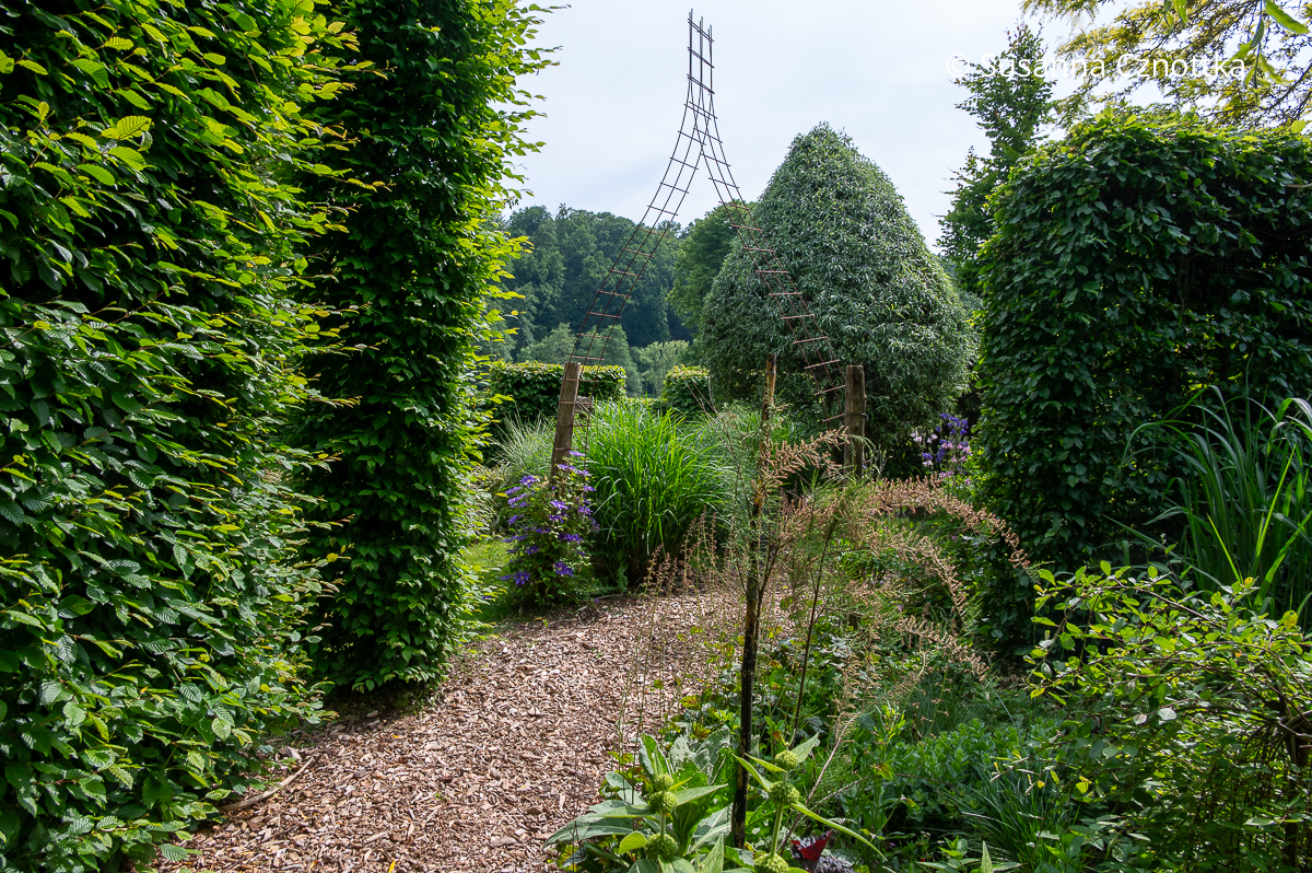 Hainbuchen und eine Weidenblättrige Birne (Pyrus salicifolia) als attraktive Formschnittgehölze