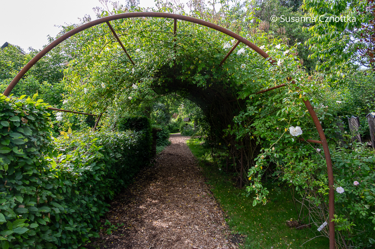 Garten gestalten: Sichtachse mit Rosenbögen