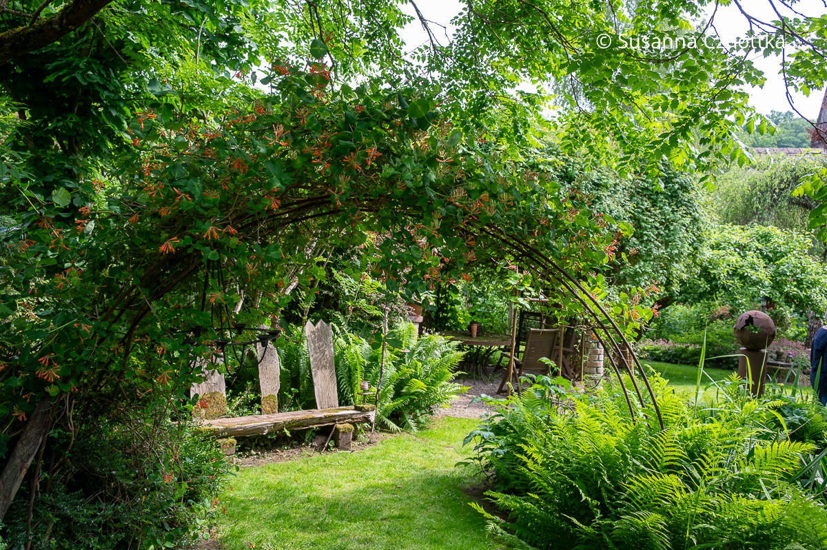 Sichtachse: Rosenbogen mit Jelängerjelieber und eine Bank mit origineller Rückenlehne