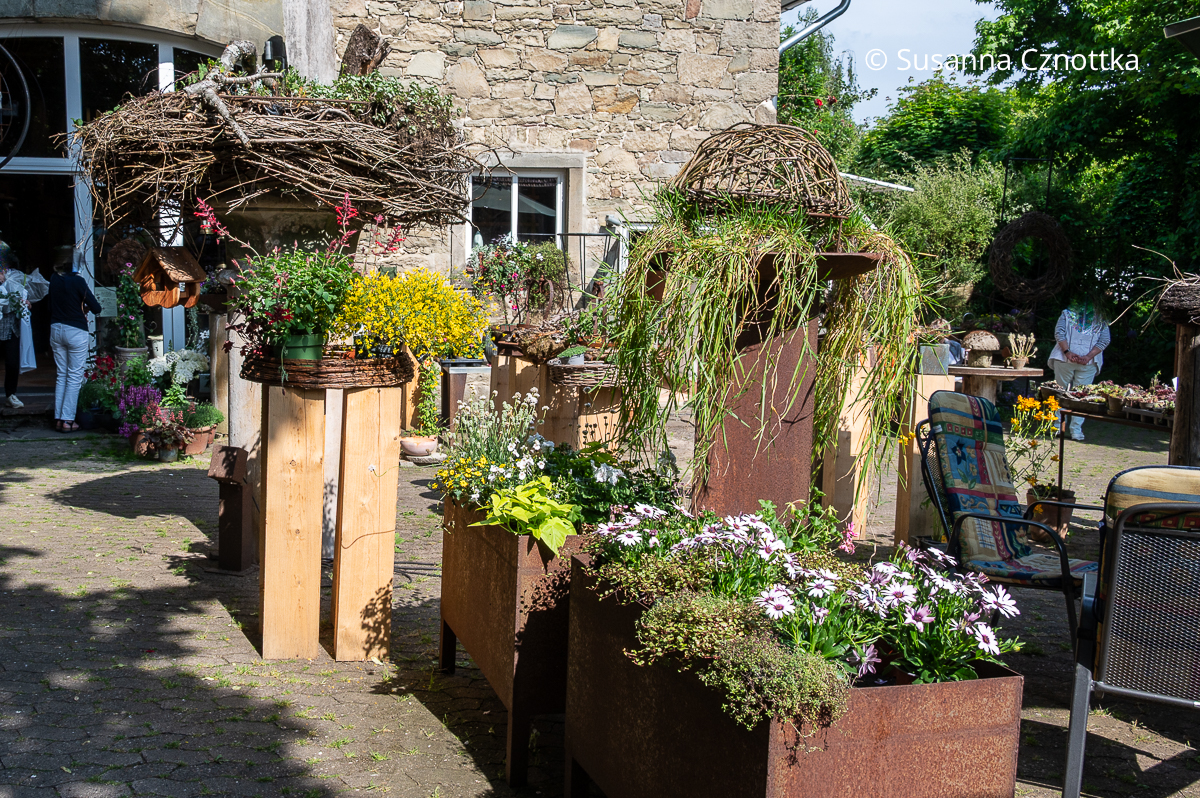 Gartendekorationen aus Naturmaterial im Hof eines Blumenladens