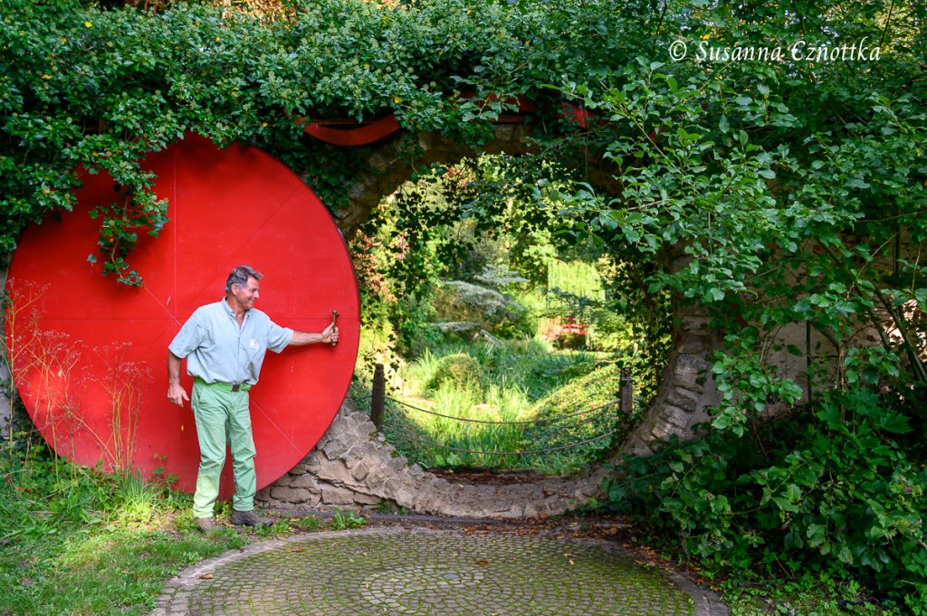 thuja brabant kaufen in der nhe Thuja Brabant kaufen  schnellwachsende Hecke