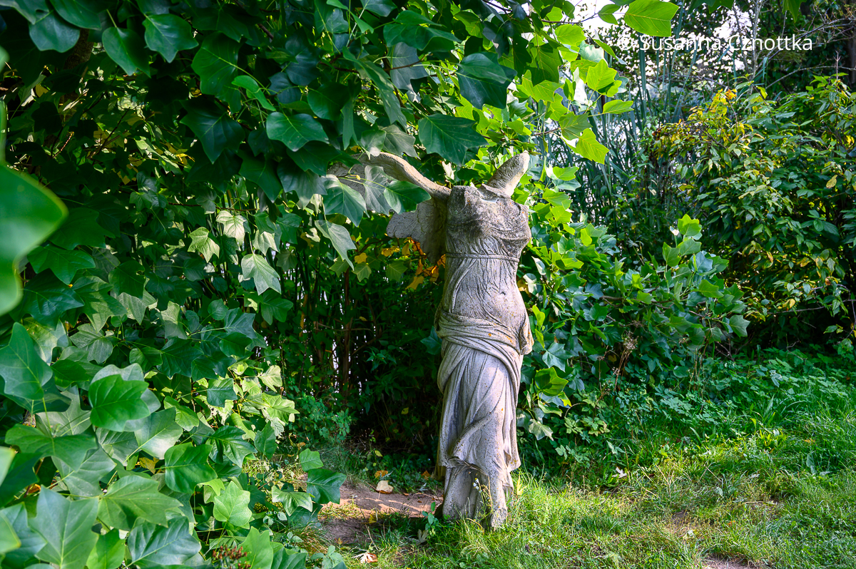 Eine steinerne Frauenfigur ohne Kopf unter einem Tulpenbaum