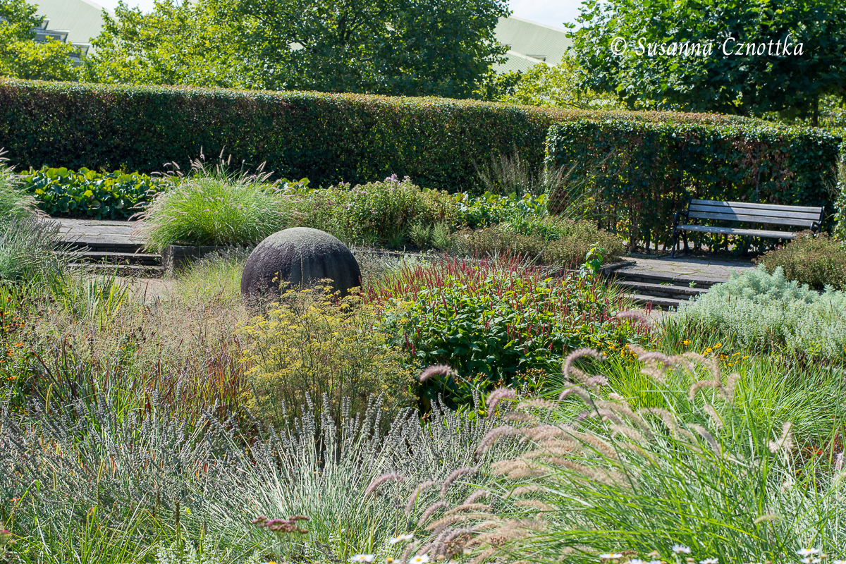 Senkgarten Dortmund im Spätsommer mit Gräsern, Kerzen-Knöterich und einer Sandsteinkugel als Fokuspunkt
