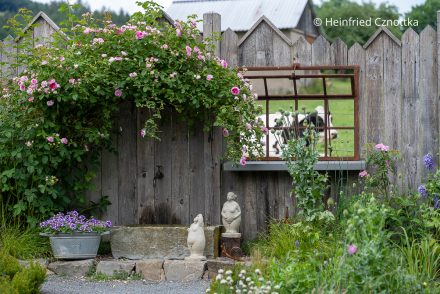 Ein attraktiver Zaun im Landhausgarten "Lenes Landlust"