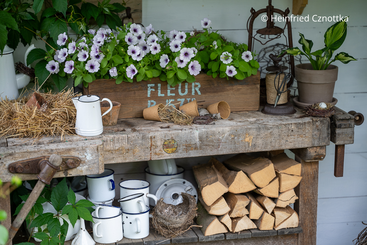 Gartendeko: Stillleben mit Petunien auf einer alten Werkbank