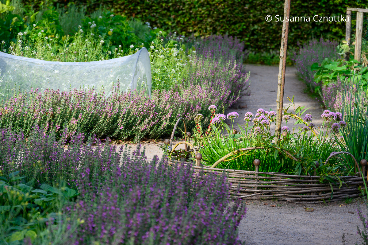 Aus Zweigen geflochtene Beeteinfassung Aus Zweigen geflochtene Beeteinfassung