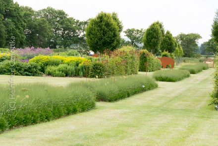 Blick in den Sussex Prairies Garden, ein Garten nach dem Vorbild von Piet Oudolf