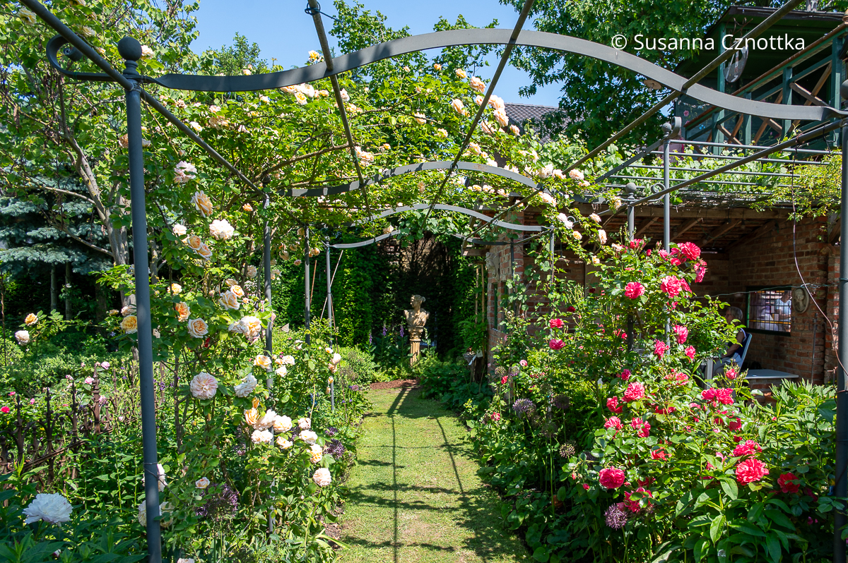 Sichtachsen im Garten: eine mit Rosen bewachsene Pergola und eine Büste als Fokuspunkt