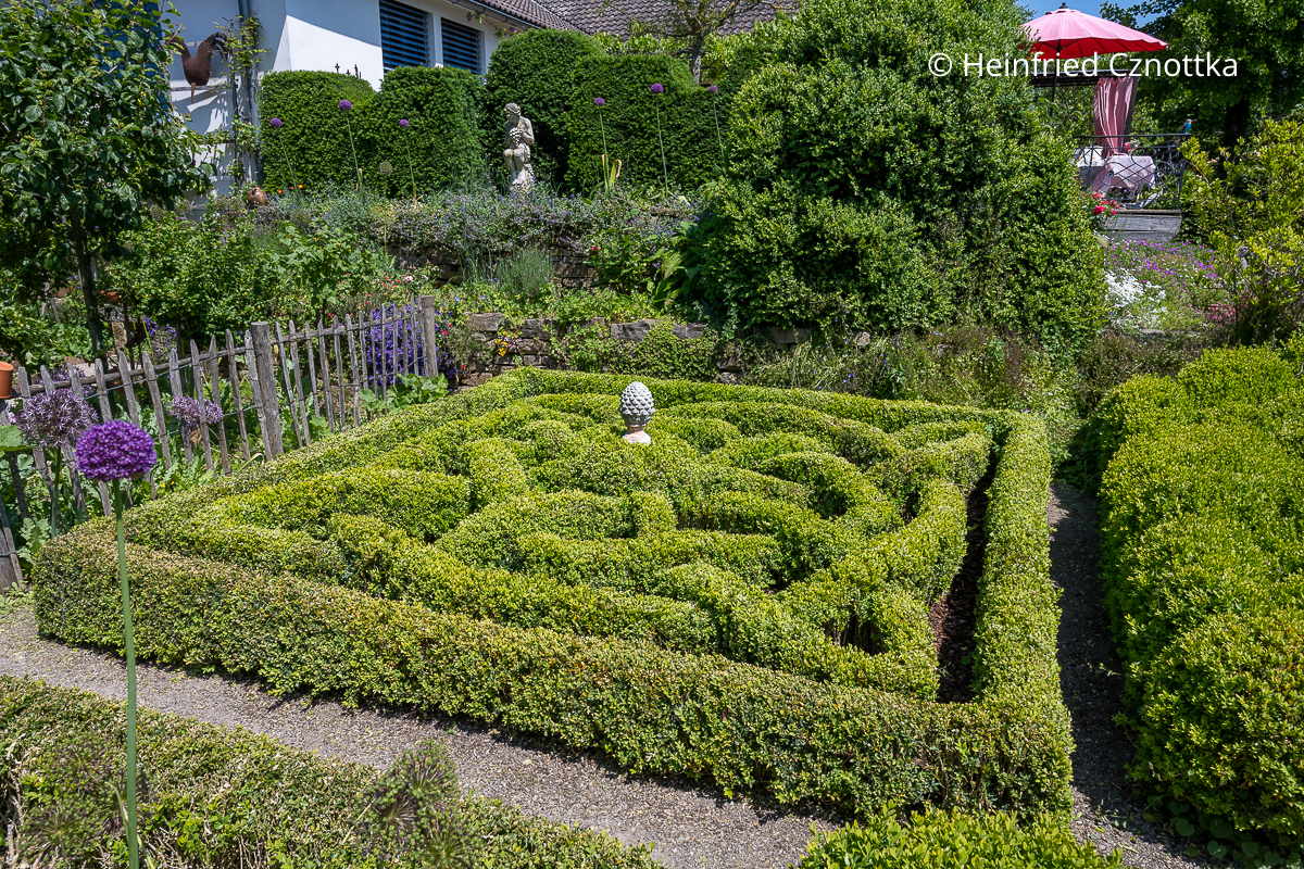 Formschnitt: liebevoll gestalteter Knotengarten im Cottage-Garten Brand