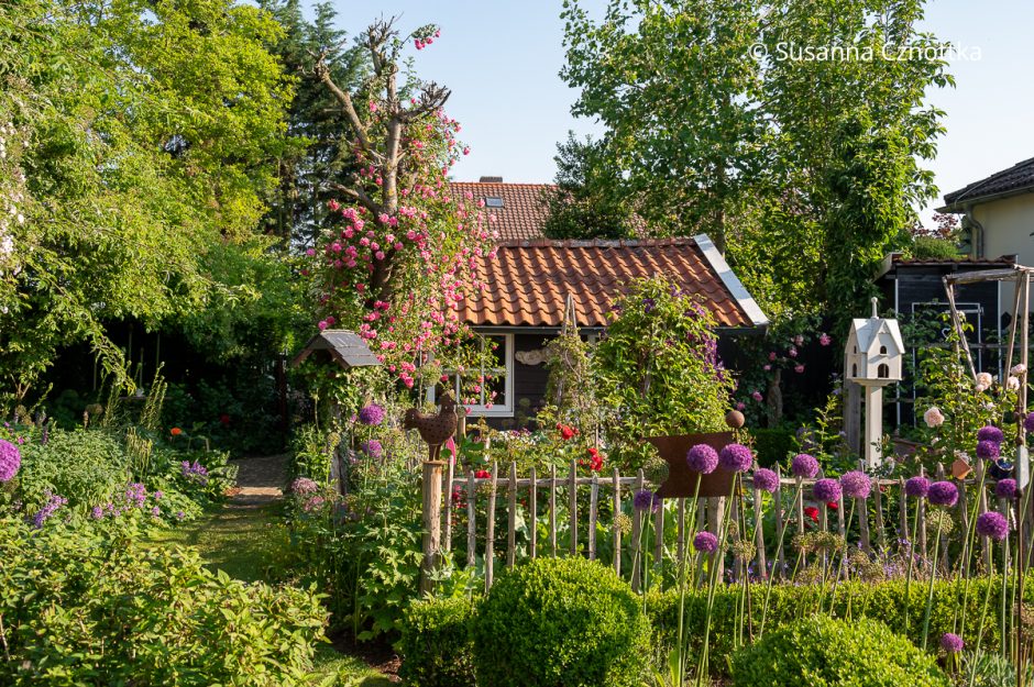 Cottage-Garten Familie Brand in Salzkotten-Thüle: Blick auf ein Gartenhaus
