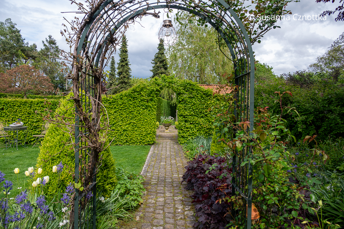 Gartenweg durch einen Rosenbogen und einen Bogen in einer Hecke