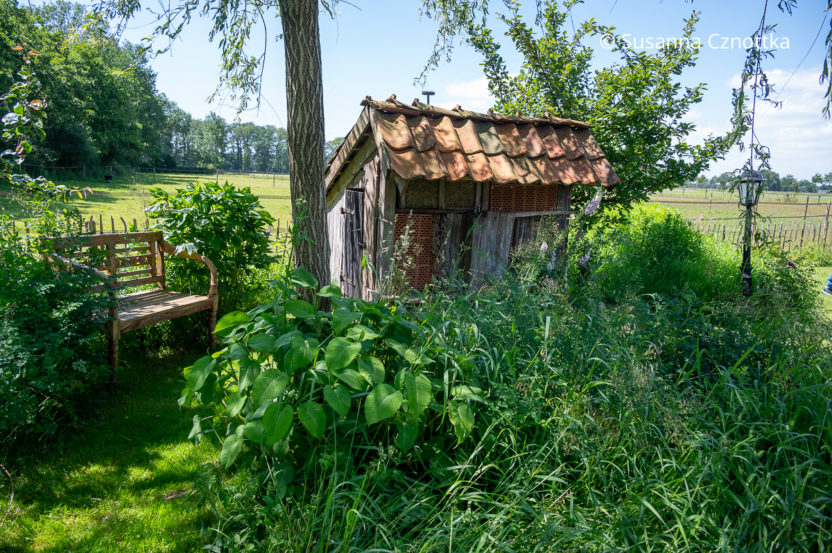 Ein Bienenhaus und eine Bank im Garten