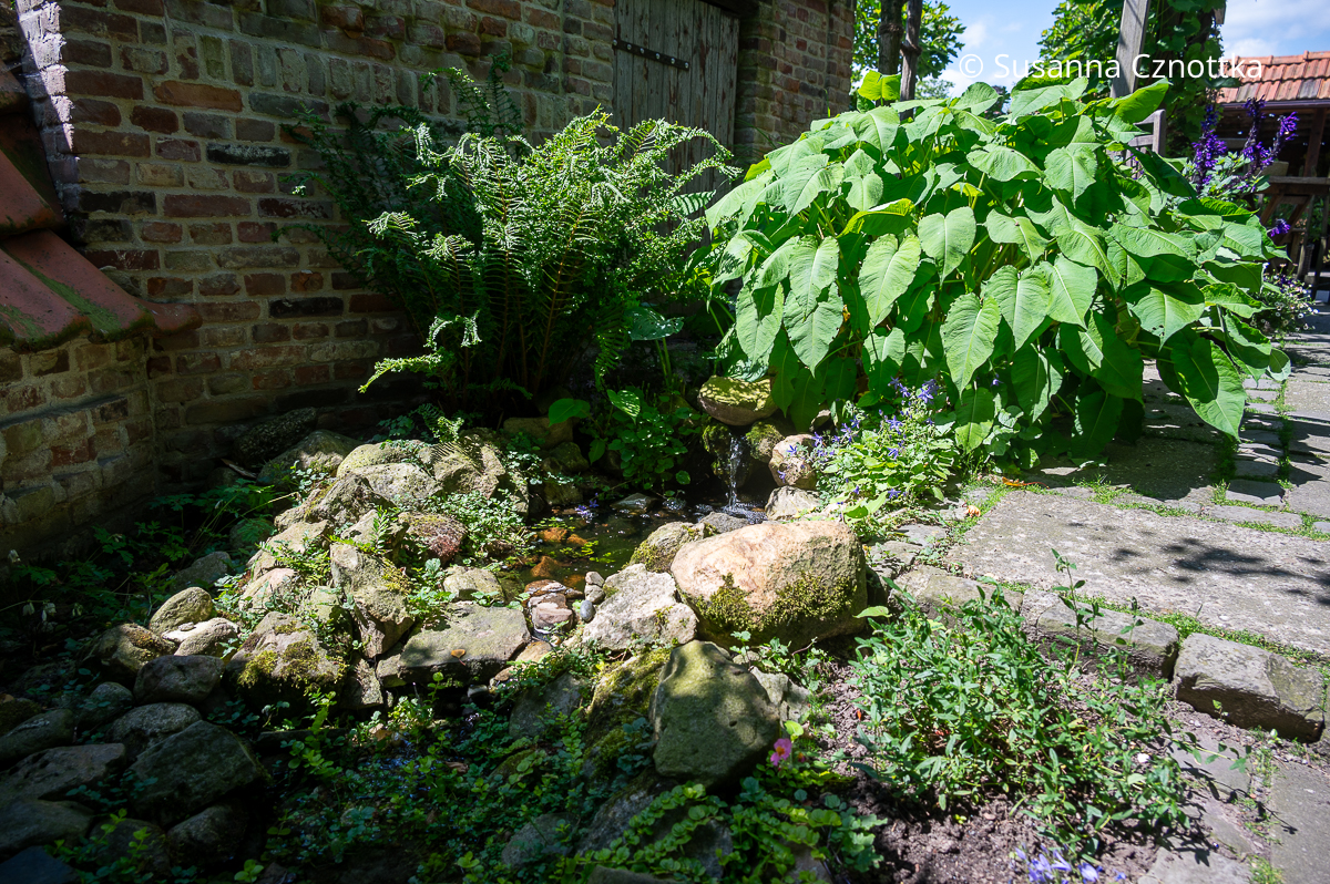 Ein kleiner Bachlauf vor einer Mauer im Garten