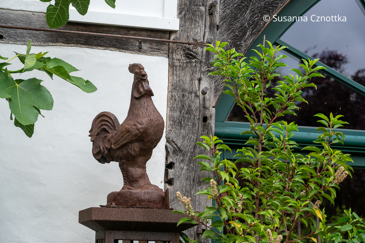 Gartendekoration: ein Hahn aus Metall in Rostoptik