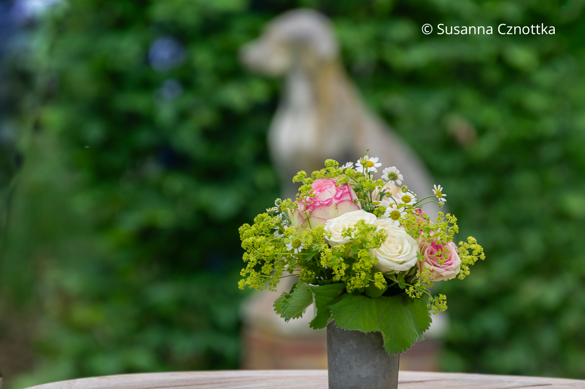 Ein kleines Sträußchen aus Rosen, Mutterkraut und Weichem Frauenmantel (Alchemilla mollis)