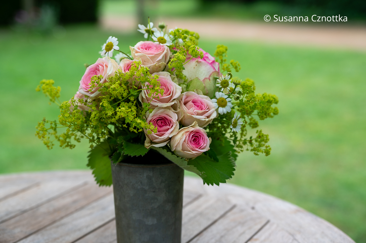 Blumenstrauß aus Rosen und Frauenmantel (Alchemilla mollis)