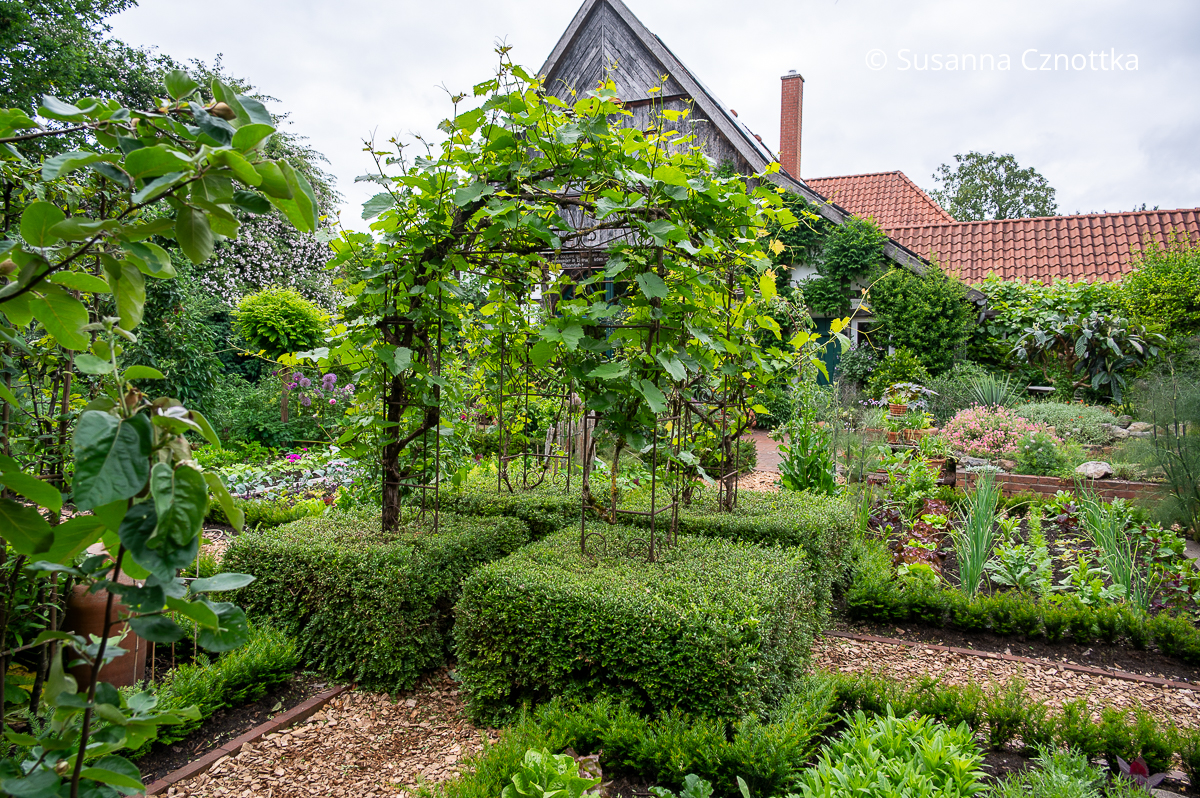 Bögen mit Weinranken betonen das Wegekreuz im Bauerngarten