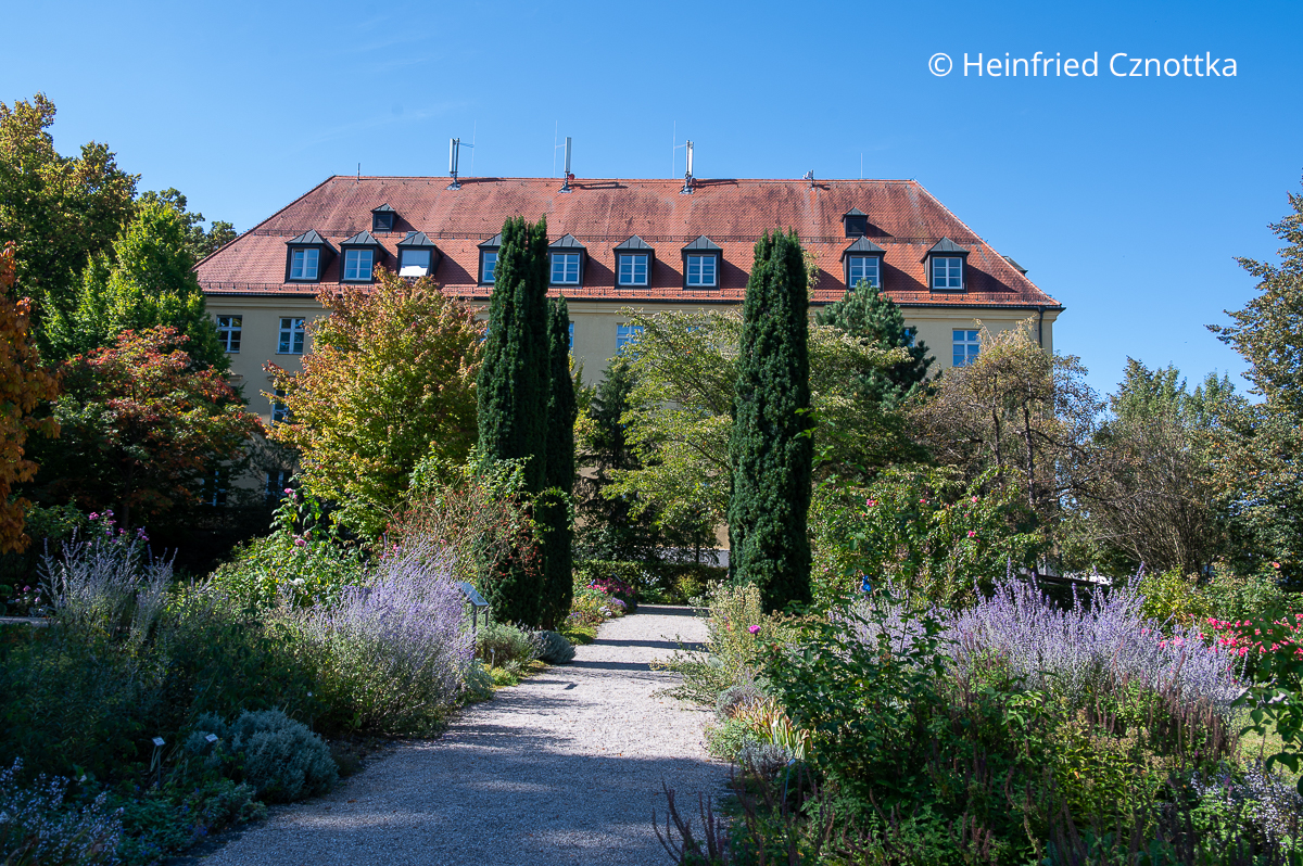 Dichte, dunkle Eibensäulen erden einen Garten und betonen die Mitte.