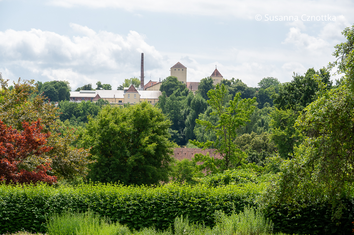 Blick vom Sichtungsgarten zum Weihenstephaner Berg Blick vom Sichtungsgarten zum Weihenstephaner Berg