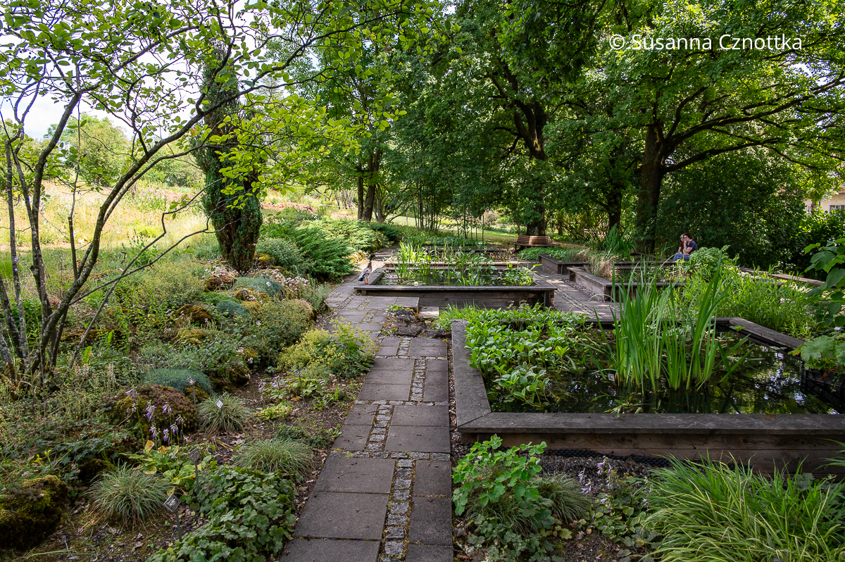 Schattiger Wassergarten im Sichtungsgarten der Weihenstephaner Gärten der Hochschule Weihenstephan-Triesdorf Schattiger Wassergarten im Sichtungsgarten der Weihenstephaner Gärten der Hochschule Weihenstephan-Triesdorf