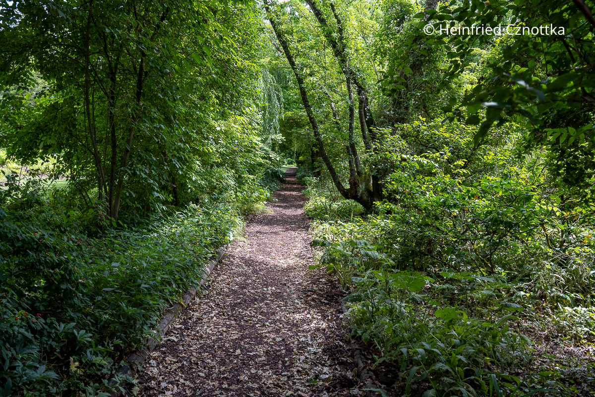 Erfrischendes Grün: Frühlings- und Hostaweg (Sichtungsgarten der Weihenstephaner Gärten der Hochschule Weihenstephan-Triesdorf) Erfrischendes Grün: Frühlings- und Hostaweg (Sichtungsgarten der Weihenstephaner Gärten der Hochschule Weihenstephan-Triesdorf)