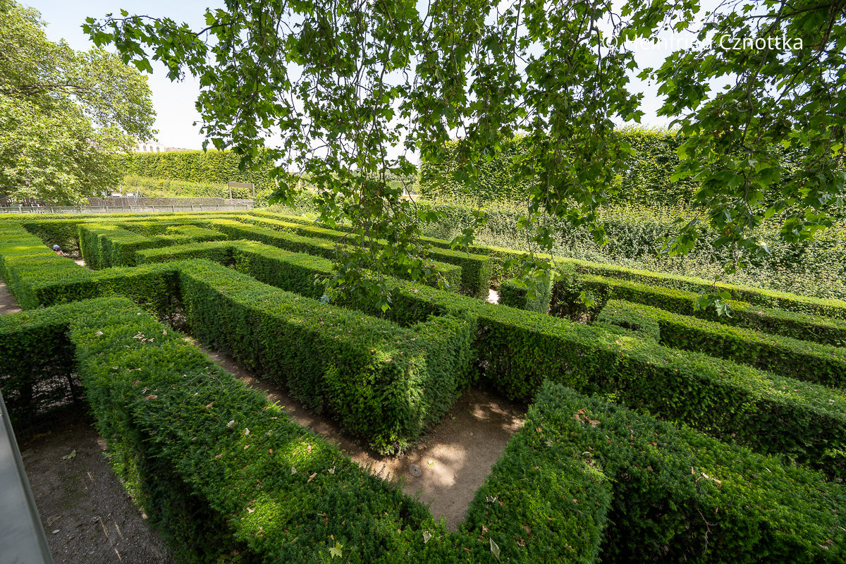 Labyrinth mit geraden, rechtwinkligen Gängen im Schlosspark von Schönbrunn (Wien)