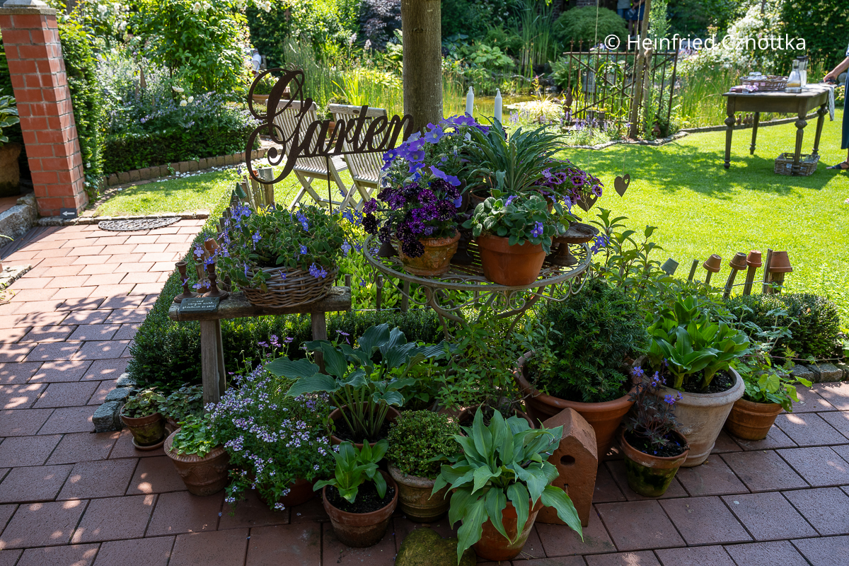 Ein Topfgärtchen mit Funkien und Pflanzen mit blauen und violetten Blüten Ein Topfgärtchen mit Funkien und Pflanzen mit blauen und violetten Blüten
