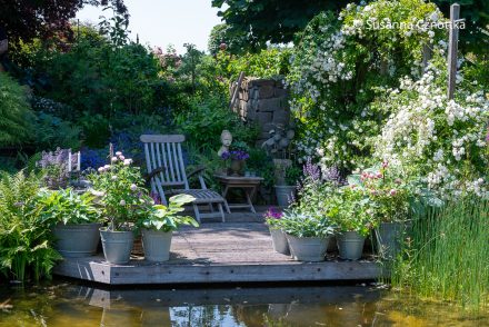 Ein Holzdeck mit Topfgarten am Gartenteich im Garten Hommel-Althoff im Münsterland Ein Holzdeck mit Topfgarten am Gartenteich im Garten Hommel-Althoff im Münsterland
