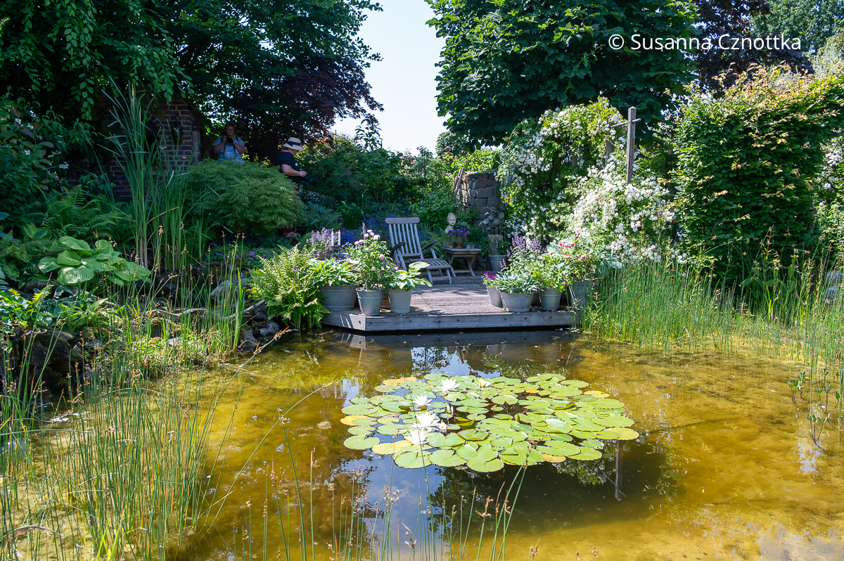 Ein Holzdeck mit Liegestuhl und Topfgarten im Garten Hommel-Althoff im Münsterland Ein Holzdeck mit Liegestuhl und Topfgarten im Garten Hommel-Althoff im Münsterland