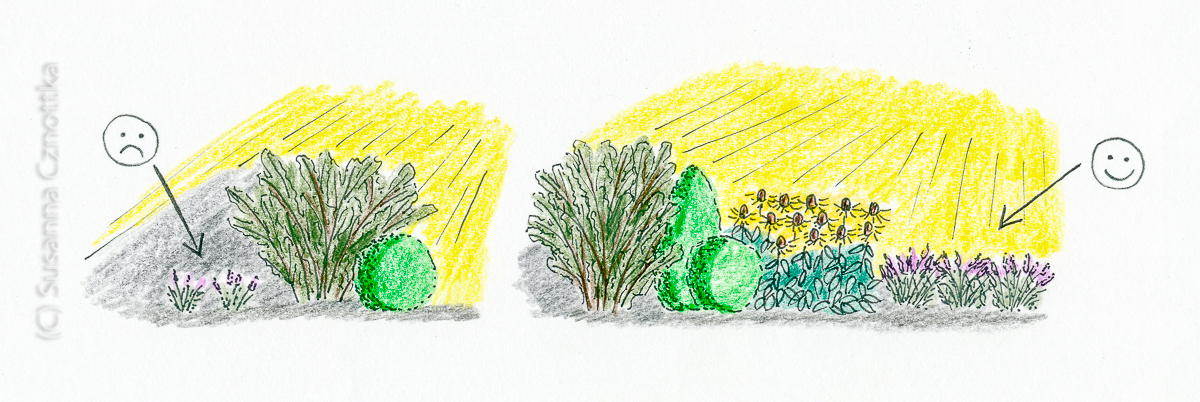 Zeichnung: standortgerecht pflanzen